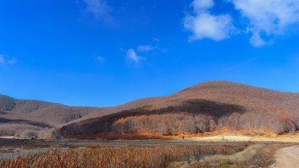 Landscape with mountains. At their base is the plain with tall yellow grasses