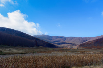 Landscape with mountains. At their base is the plain with tall yellow grasses