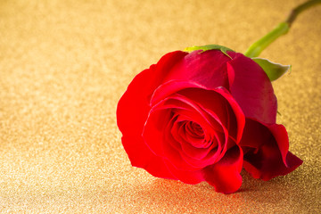 Single Red Rose on a Golden Table