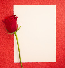 Single Rose with a Blank Page for Writing a Love Note