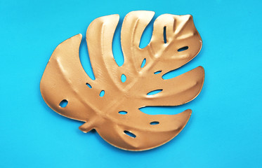 Palm leaf on trendy color background.
