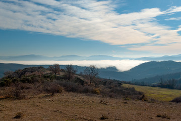 Fototapeta premium Paesaggio tipico toscano #4
