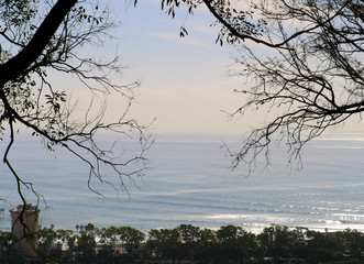 View from Hills Above Ventura, California of the Pacific Ocean, City, and Flora