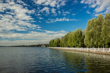 Obraz premium city park outdoor spring nature scenic environment of lake waterfront line with fence and high green trees space for human rest and promenade in free time or weekends