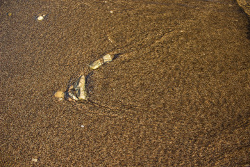 wet small stones on brown sea sand background wallpaper pattern with empty copy space for your text or inscription