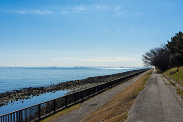 Fototapeta na wymiar 新木場緑道公園から望む東京湾