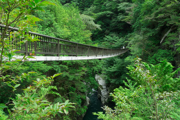 Bridge of the Mitarai ravine Nara,Japan.