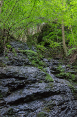 Stone steps waterfall of the Mitarai ravine , in Nara.