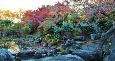 秋　静かな庭園　飛び石　とちぎ