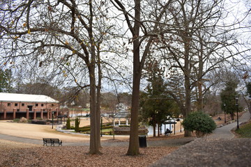 park