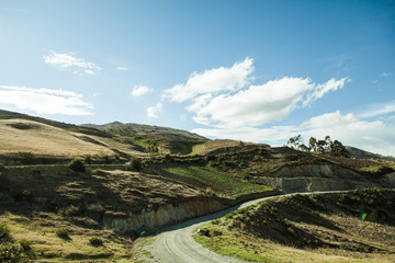 Sunny road landscape