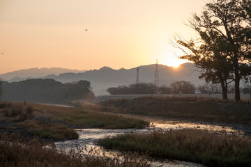 矢部川の朝日
