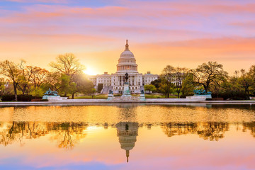 Naklejka premium Capitol building in Washington DC