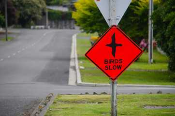 Road sign 'birds slow' , New Zealand