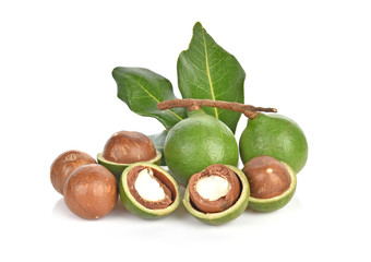 macadamia nuts on white background