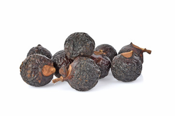Soap nut tree isolated on white background