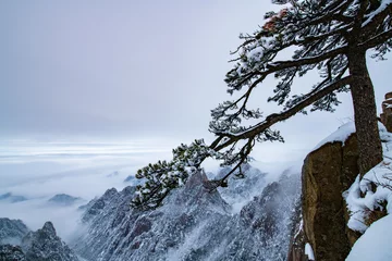 Crédence de cuisine en verre imprimé Monts Huang pin couvert de neige sur la montagne