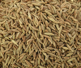 Caraway seeds full frame image background