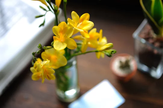窓辺 フリージア 花瓶 花 生ける 生花 出窓 Stock Photo Adobe Stock 窓辺 フリージア 花瓶 花 生ける 生花 出窓 Stock Photo Adobe Stock