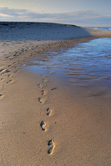 Foot Prints on a Sandy Cap Cod Massachusetts Beach