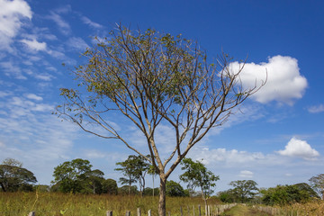 beautiful landscape in venezuela
