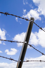 Barbed wire with blue skies and clouds in the background.