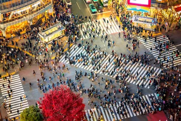 Deurstickers Tokio Shibuya Crossing, Tokio, Japan