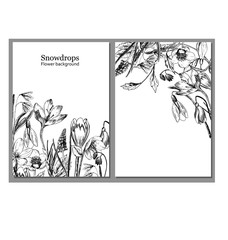 Frame with spring flowers. Ready postcard. Botanical illustration. Primroses, snowdrops, hellebore hand-drawn with ink and a pen. Vector illustration