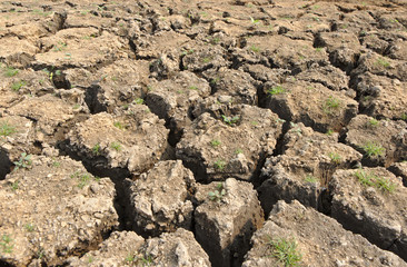 Texture of dry cracked land while run out of water 