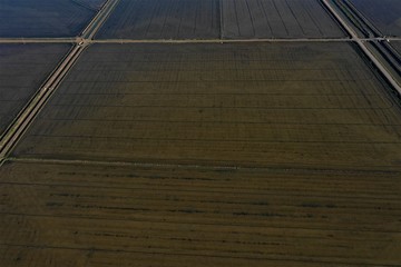 Obraz premium default