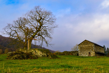 Fototapeta na wymiar Old rural country stone farmhouse as the winter fog lifts in Ambleside, Lake District, in Northern England.