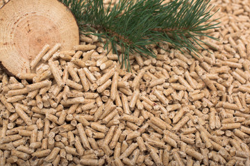 Pine slice, twig and conch on wooden pellets