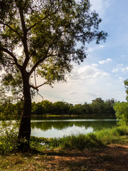 Beautiful landscape with tree and lake outdoor.
