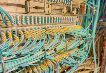 Netzwerk Switch und Netzwerkkabel in einem Rechenzentrum