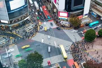 Fototapeta premium Aerial view of Pedestrians walking across with crowded traffic at Shibuya crossing
