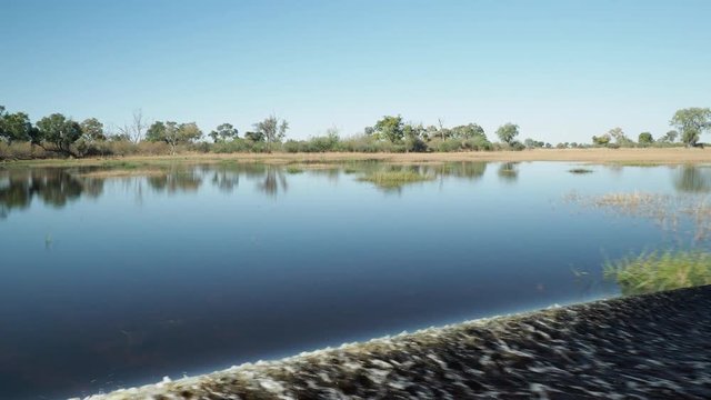 Wildlife in Okavango Delta Botswana Africa
