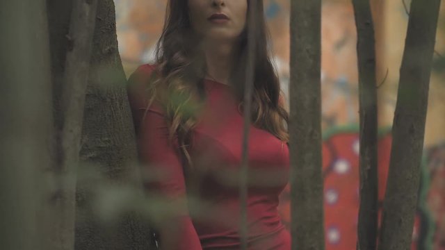 Confident sensual woman in the wood staring at camera