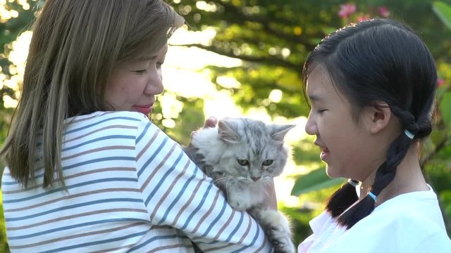 Asian mother playing a kitten to her daughter 