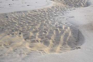 Natürliche Formen am Strand