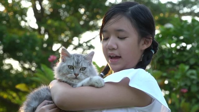 Beautiful Asian girl holding Lovely persian cat with sunshine in the park 