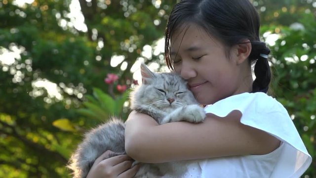 Beautiful Asian girl holding Lovely persian cat with sunshine in the park 