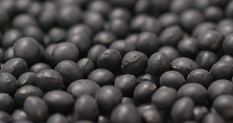Black soy bean