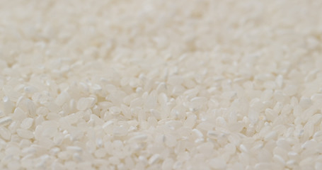 White uncooked rice