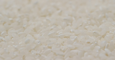 Stack of white rice