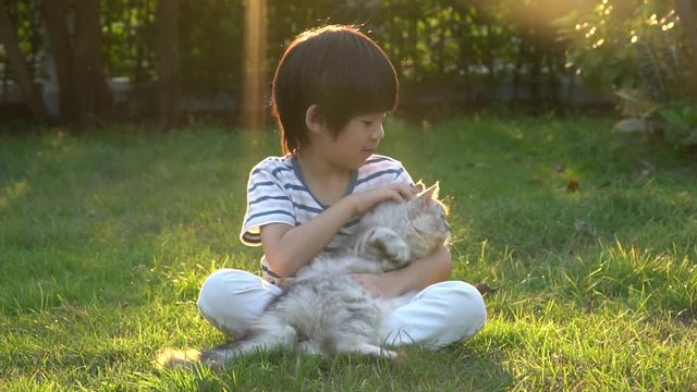 Cute Asian child playing with persian cat in the park outdoor 