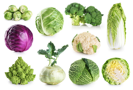 Cabbage collection isolated on white background.