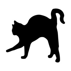 cat silhouette