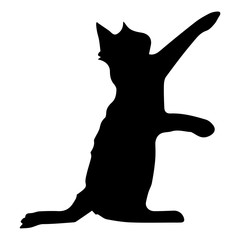 cat silhouette