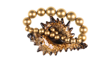 jewelry sea shell with a pearl necklace