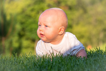 The baby lies or crawls on the green lawn at sunset and looks into the distance. Emotions baby. Vacation with children. Childcare. Goods for kids. Sun protection. Child development.